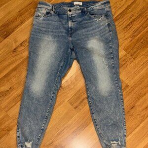 Lane Bryant High Rise Skinny Size 22